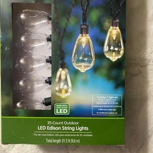 LED Edison String Lights